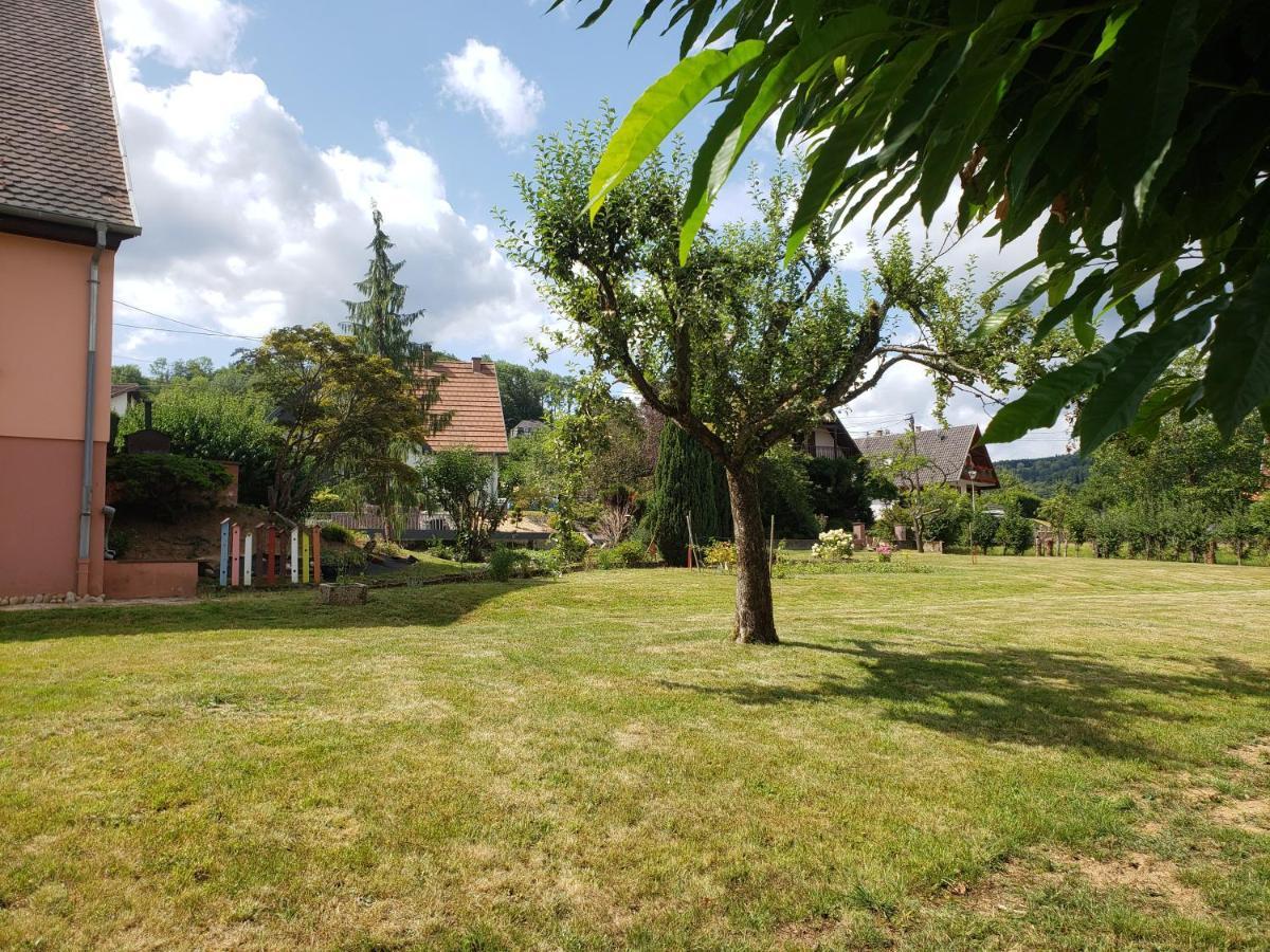 Bed and Breakfast Le Souplex D'Anais Schirmeck Exterior foto