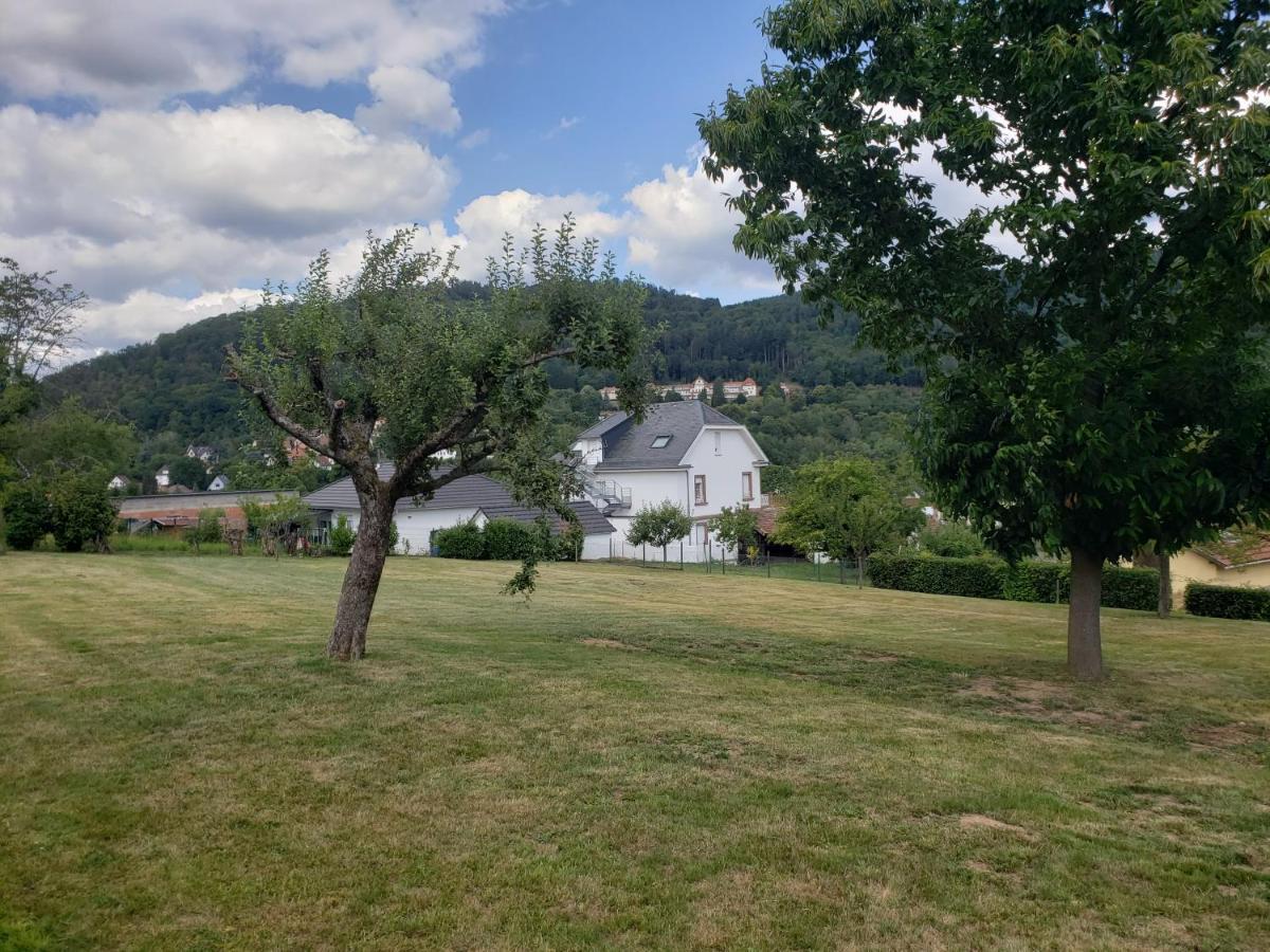 Bed and Breakfast Le Souplex D'Anais Schirmeck Exterior foto